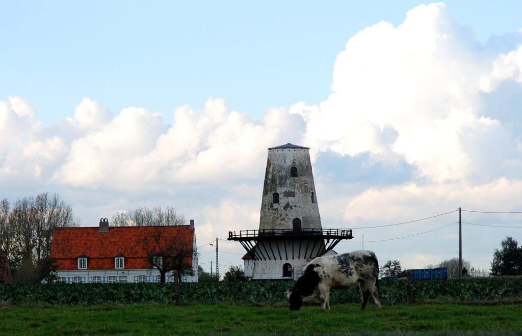 1920px-Kanegem_28-10-2008_16-41-09